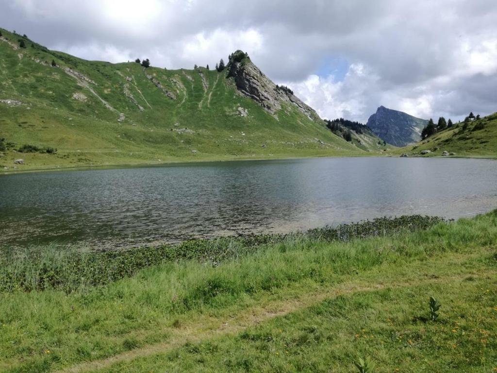 Apartament Le Genepi Taninges Zewnętrze zdjęcie